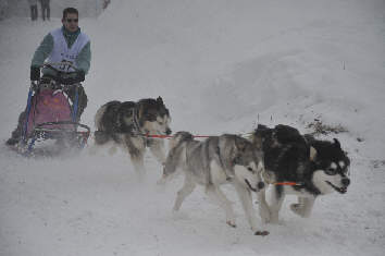 Damien avec Kala, Vintuka et Orion  l'Alpe du Grand Serre 2010