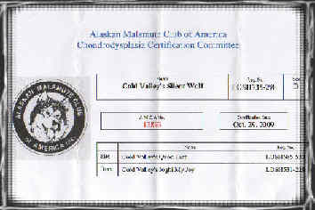 Certifi CHD N13893